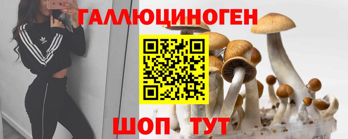 Псилоцибиновые грибы прущие грибы  Вход с VPN  Азнакаево 