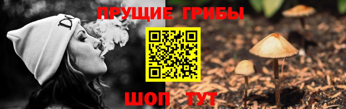 Галлюциногенные грибы мицелий Азнакаево